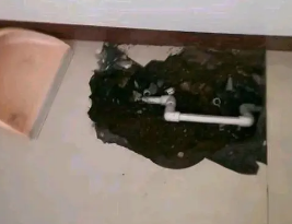 安阳市卫生间测漏水多少钱